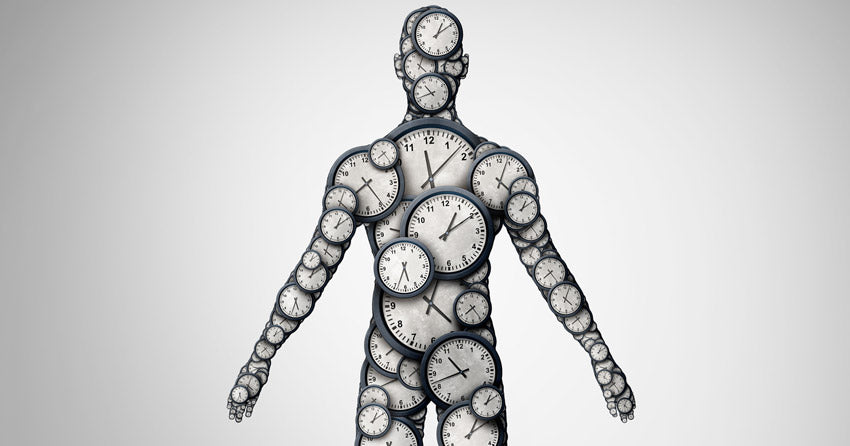 Adjust your eating schedule to match your biological clock, which knows that daytime is the healthiest time to eat, and that nighttime is the time to fast.