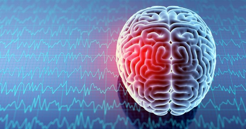 Researchers Successfully Repair Stroke-Damaged Brains In Rats
