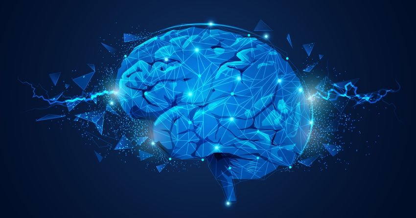 stress changes the structure of brain communication