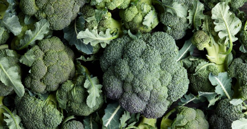 Top 7 Plants to Eat For Longevity