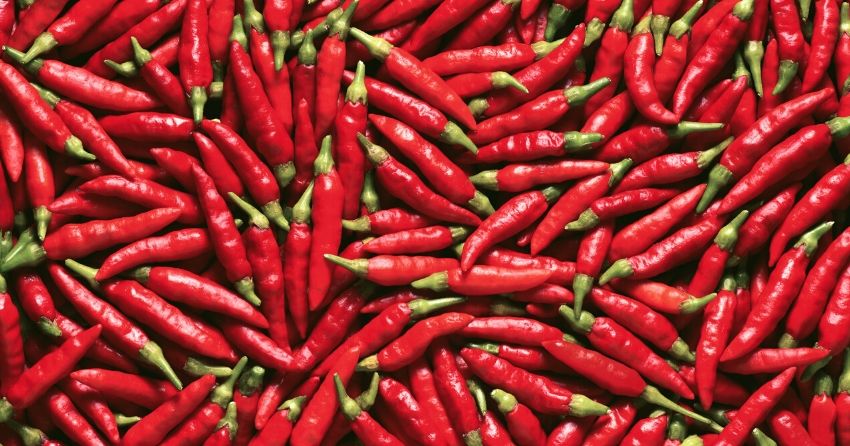 spicy red chili peppers, capsaicin