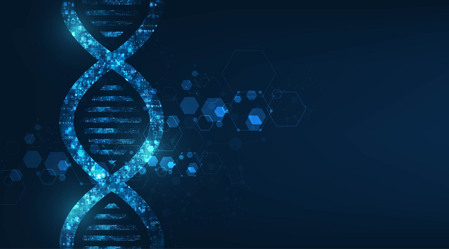 New MIT Study Uncovers Cellular Identity and Epigenetic Memory