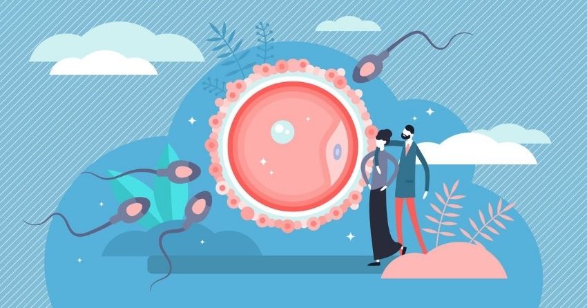 overweight and obesity is linked to poor sperm quality