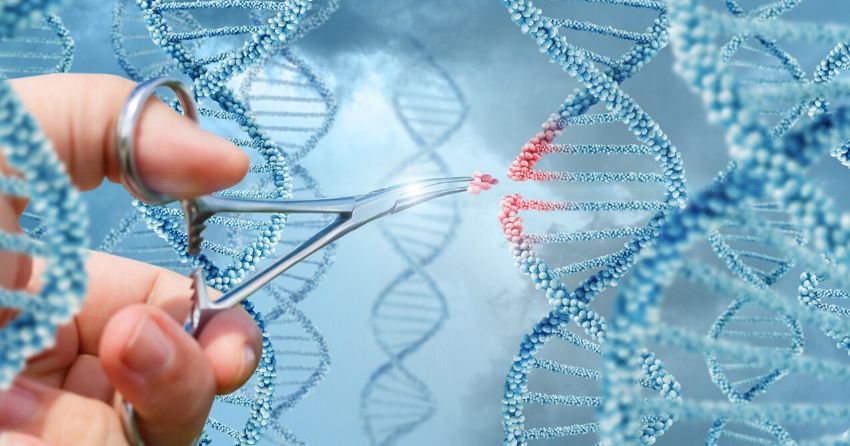genetic mutation, dna, gene mutation