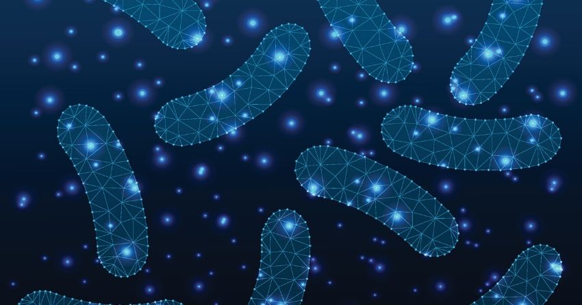 remodeling the gut microbiome improves cholesterol levels and reduces atherosclerosis in mice