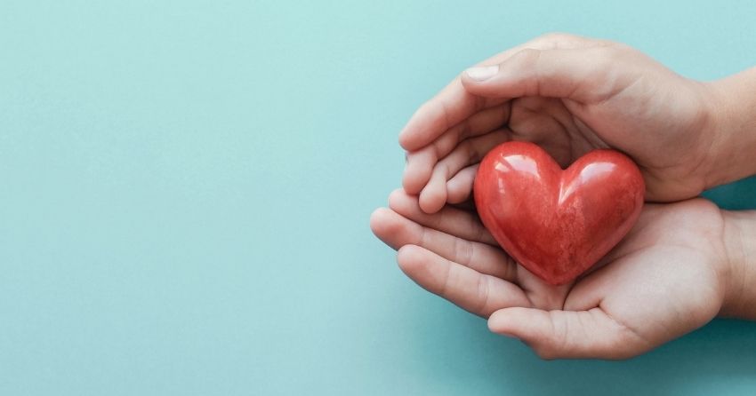 A new study finds nicotinamide mononucleotide (NMN) and melatonin in combination are cardioprotective.