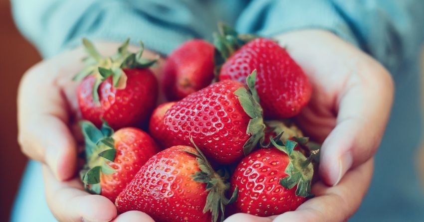 Eating 2 Servings of Fruit Per Day Lowers Diabetes Risk By 36%