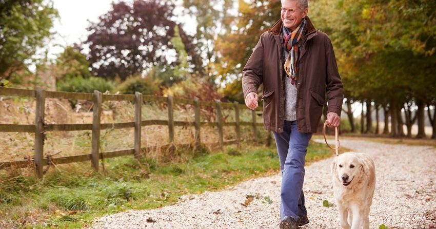 man walking a dog, dog ownership