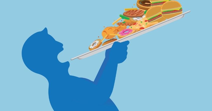 The Hormone LCN2 Switches Off Hunger, Could Help Fight Obesity