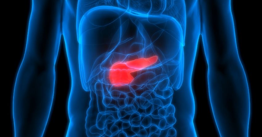 a new method that regenerates human pancreatic tissue may help to treat diabetes