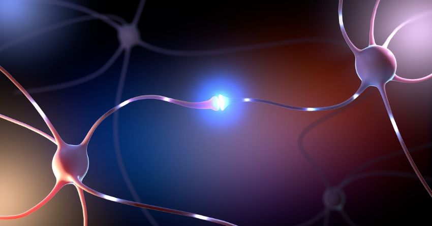 a new treatment eliminated the symptoms of Parkinson's disease in mice