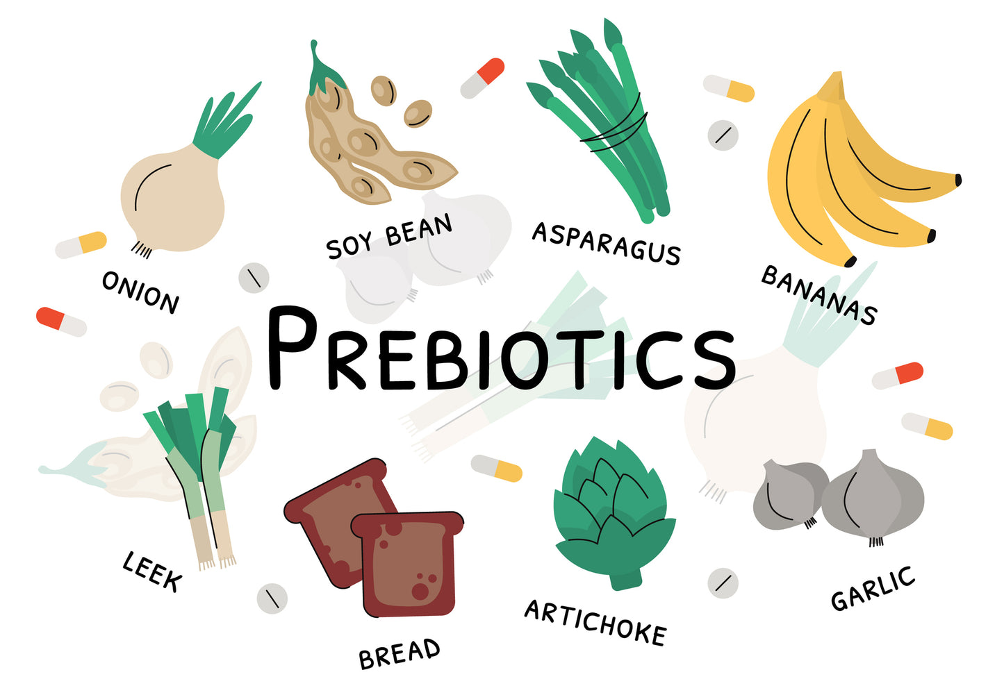 Prebiotics Play Important Role in Correcting Circadian Rhythm Disruptions