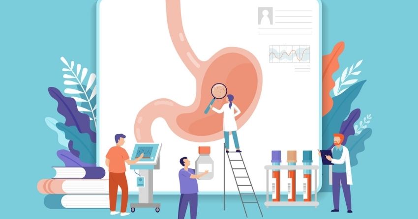 Protein in Stomach May Be Key to Fighting Obesity