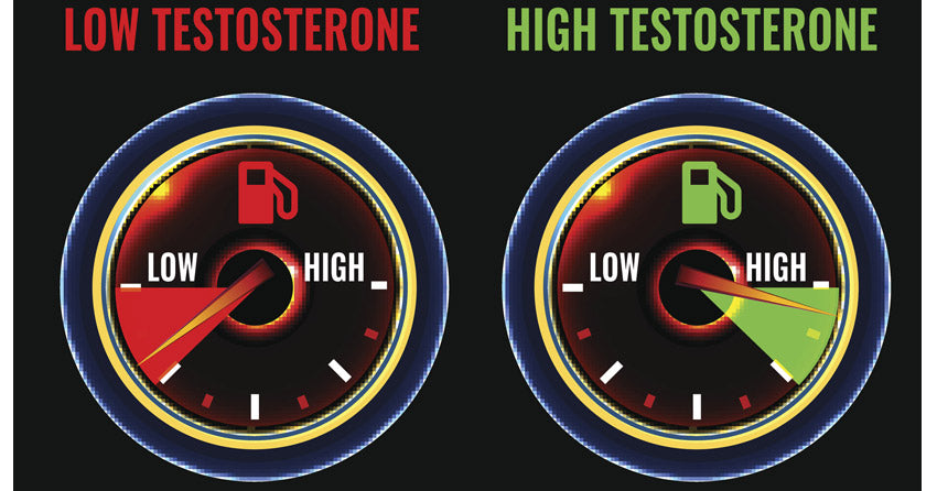 Choose the best foods that increase testosterone