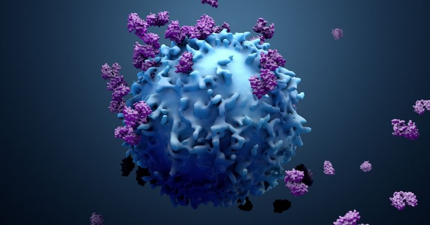 cell