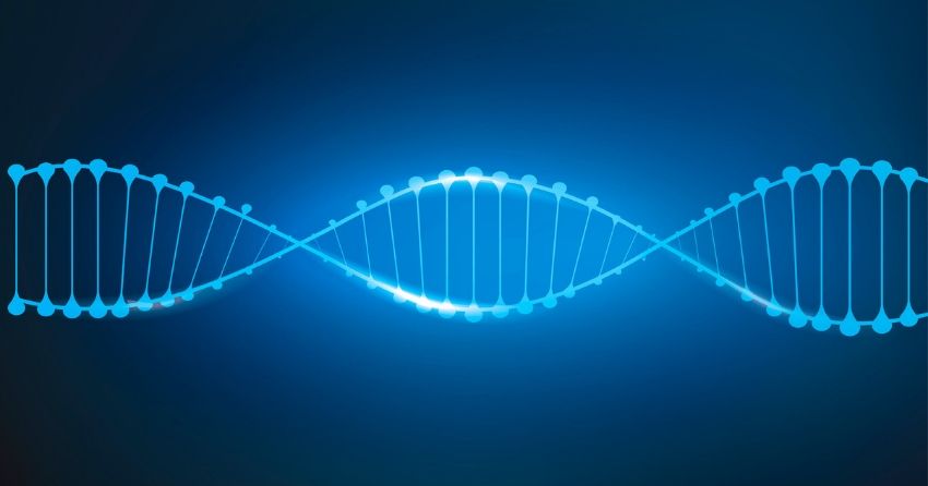 DNA strand