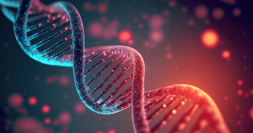 DNA