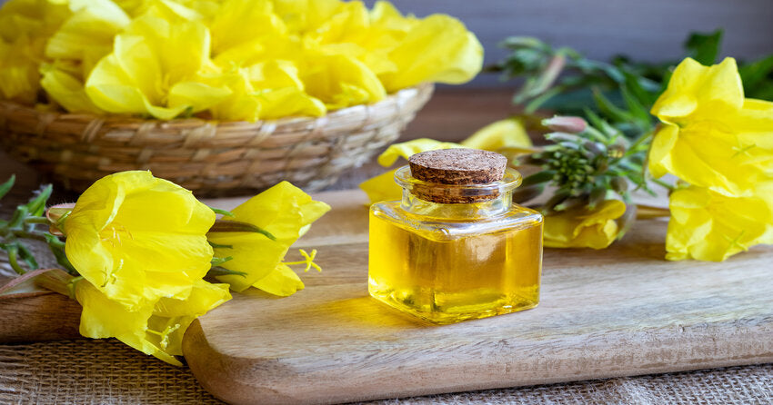 3 Top Ways Evening Primrose Oil Benefits Your Health