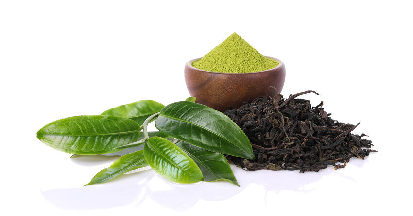 Green Tea’s Amazing Benefits – Weight Loss, Heart Health And More