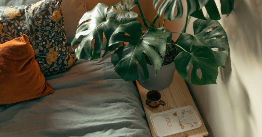Can a Bedroom Scent Make You Sleep Through the Night?