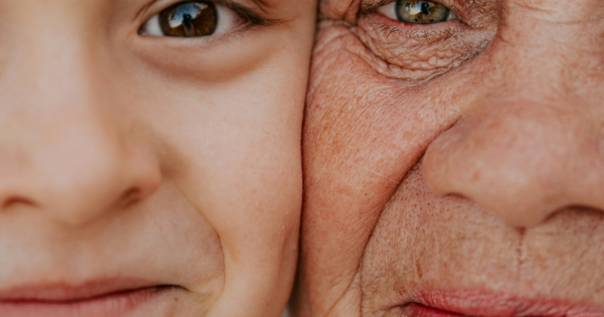 The “Forgotten” Immune Gland Shaping Our Lifespan