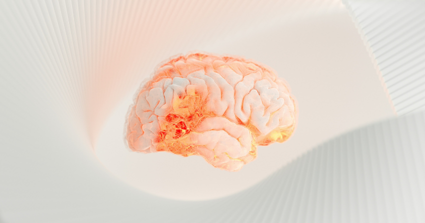 A Popular Anti-Aging Drug Combo May Come at a Cost to the Brain