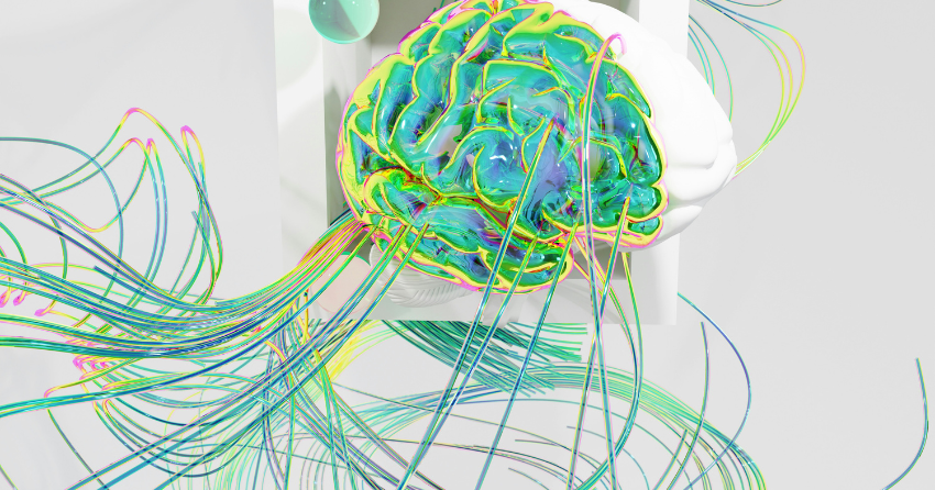 The Neuroscience of “Autopilot”: How We Learn to Do Two Things at Once