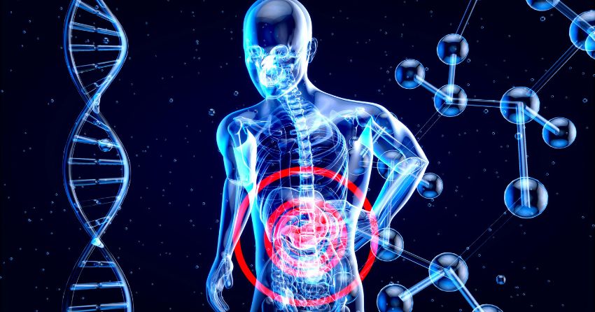 Uthever® NMN and NAD+: What the Clinical Study Actually Found