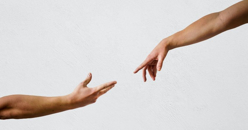 The “Holy Grail” Regeneration Gene That Helps Limbs Grow Back