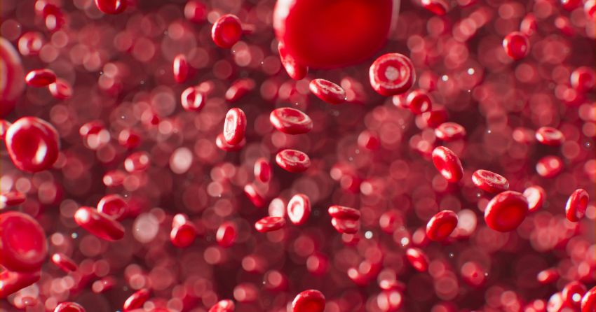 Scientists calmed overactive lysosomes, making old blood stem cells act young again.