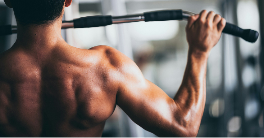 The Muscle Rewind Switch: How Exercise Turns Aging Fibers Back On