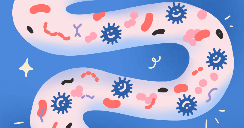 Your Gut Has a Memory: Which Medications Reshape Your Microbiome?