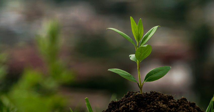 The Brain’s Built-In Fertilizer: How “Young” Neurons Help Some Minds Age More Gracefully