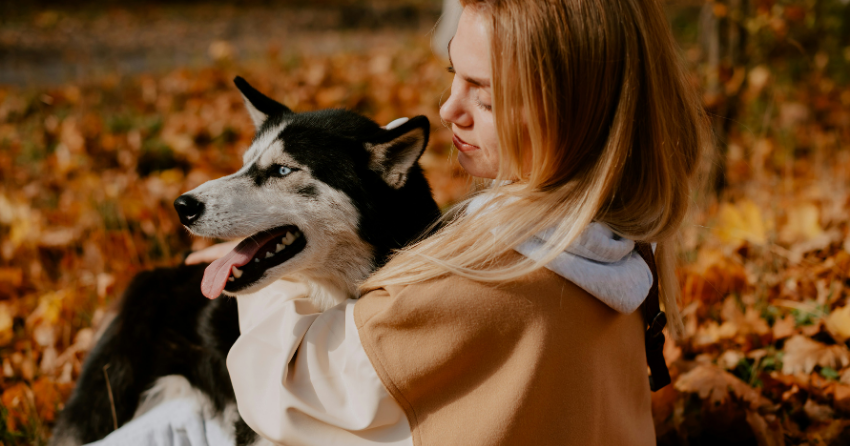The Aging Secrets Dogs Share With Us