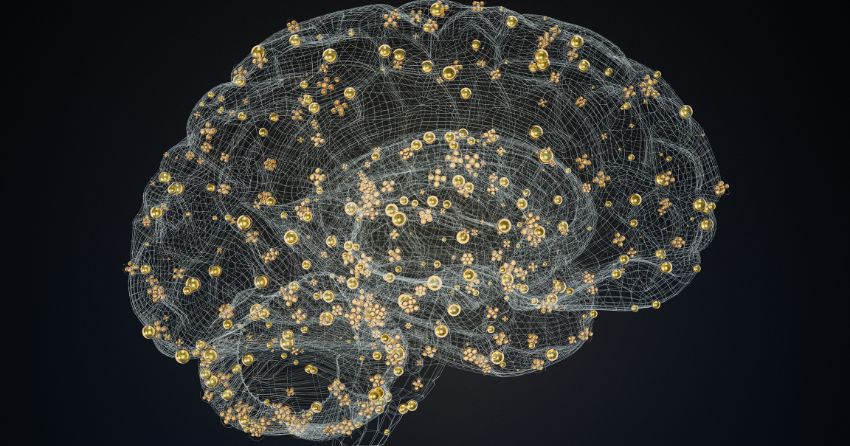 The Biology of “Superagers”: More New Neurons, Even Late in Life