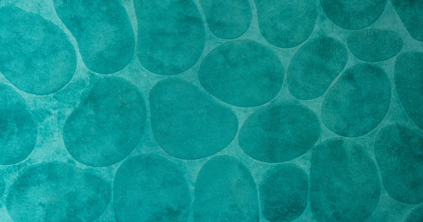 Mitochondrial Youth Starts in Your Membranes: The Phosphatidylcholine Story