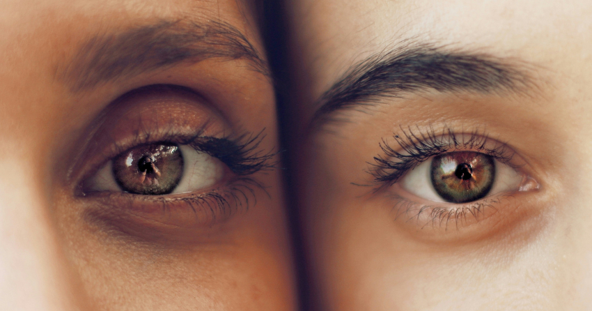 How a 400‑Year Shark’s Eyes Might Help Yours Age More Gracefully