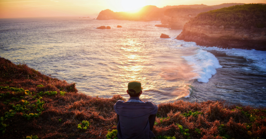 A Forgotten Sea Delicacy May Hold a Clue to Brain Aging