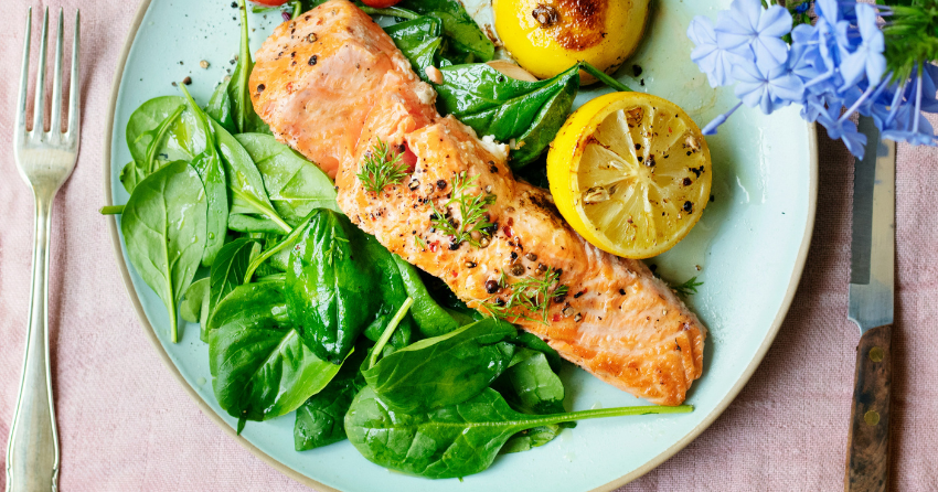 Eat More, Age Better? The Low‑Protein Twist Behind a “Longevity Diet”