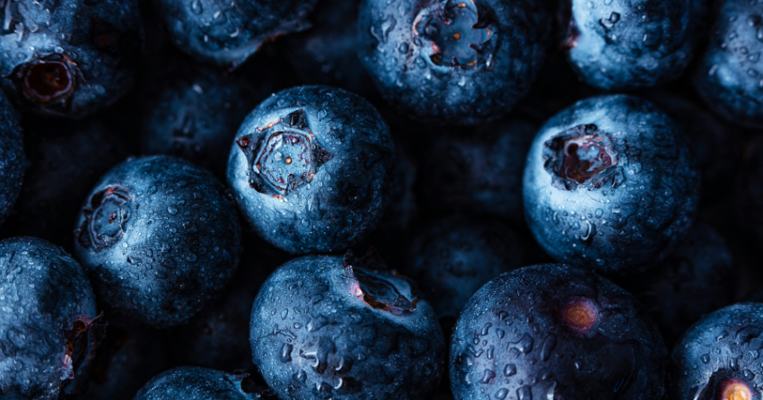 The Berry Compound That Teaches Muscle Cells a New Trick