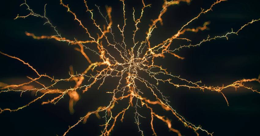 Is NMN Supplementation Backed by Science?