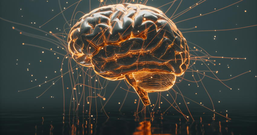 The Brain's Backroads: How Hidden Wiring Keeps the Mind Sharp