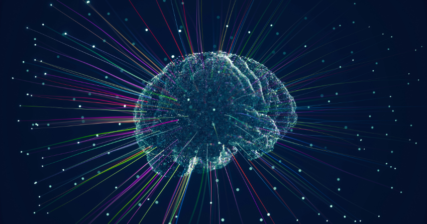The Almond-Sized Brain Region That May Run Aging
