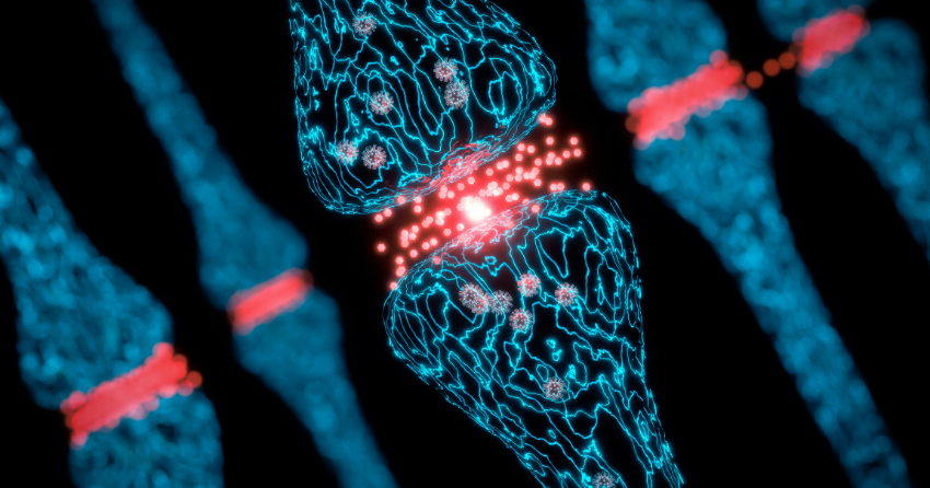 The Silent Switch That Tells Neurons When to Die