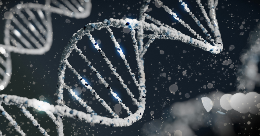  A One-Time CRISPR Edit Cut LDL by Half—And It Kept Working a Year Later