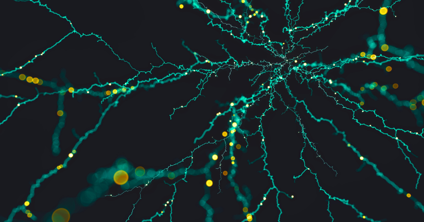 Young Neurons May Help the Aging Brain Hold the Line
