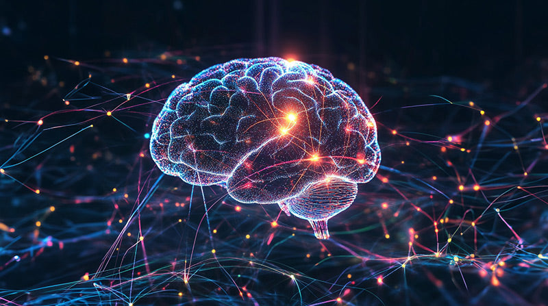 Brain and synapses firing