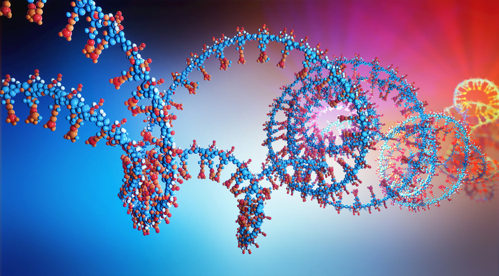 Methylation of MicroRNA May Be a New Powerful Biomarker for Cancer