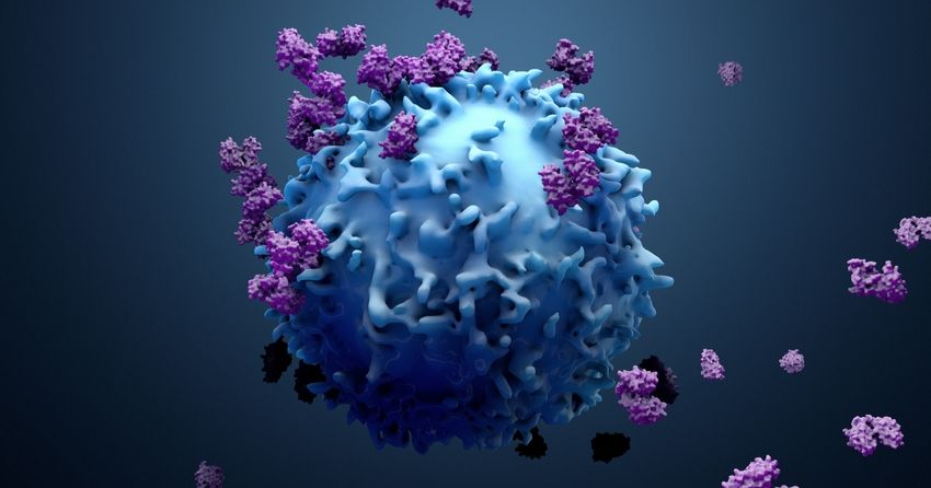 cellular autophagy