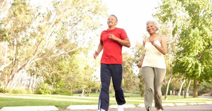 a protein secreted by the liver is responsible for some of the brain benefits of exercise